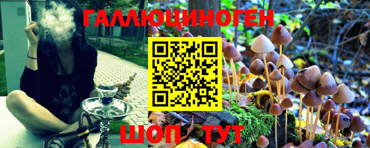 Псилоцибиновые грибы мицелий  Вход с VPN  Галлюциногенные грибы Magic Shrooms  Аксай 